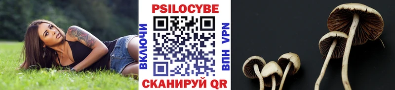 Псилоцибиновые грибы Psilocybe  магазин    Ак-Довурак 